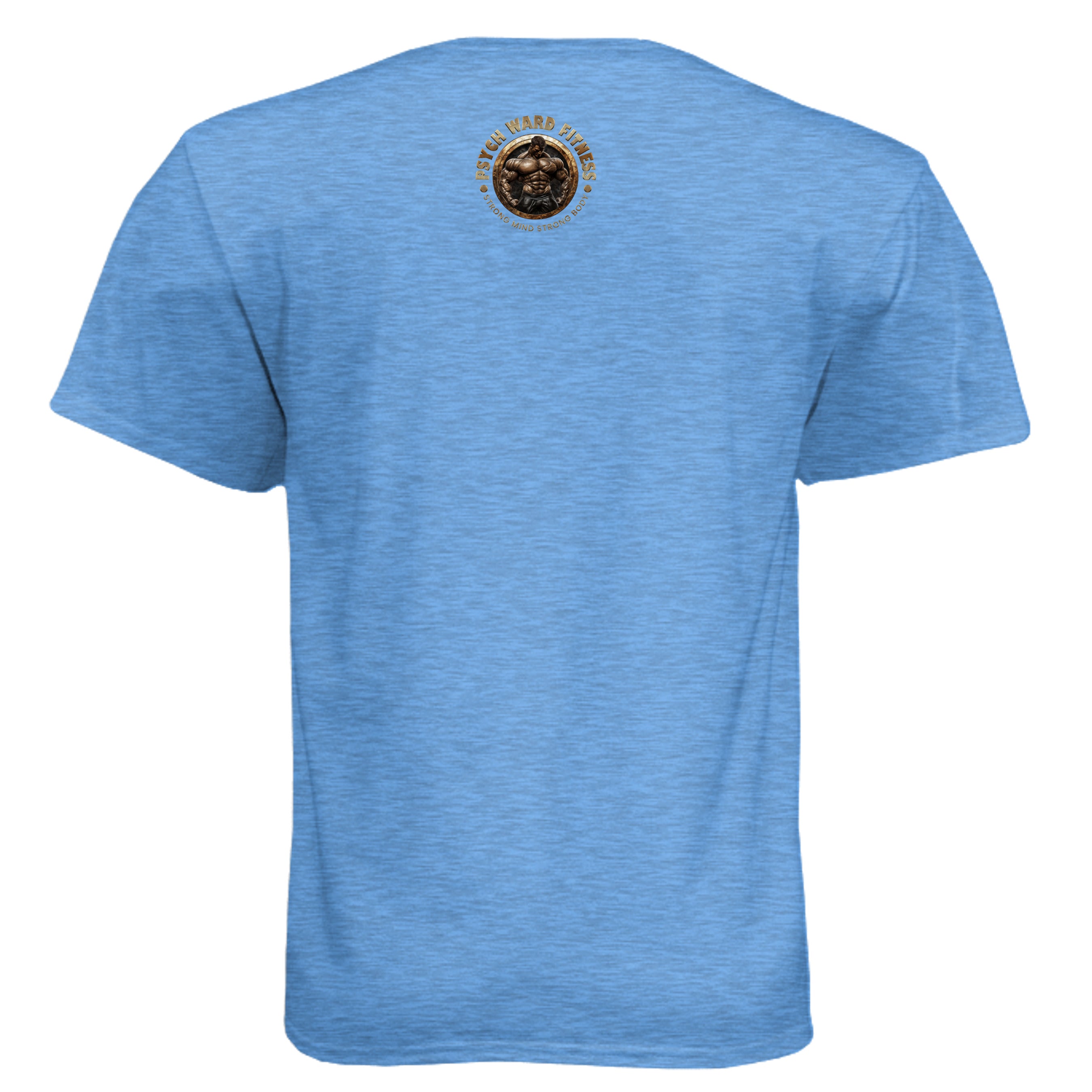 Heather Columbia Blue - N6210 - BACK
