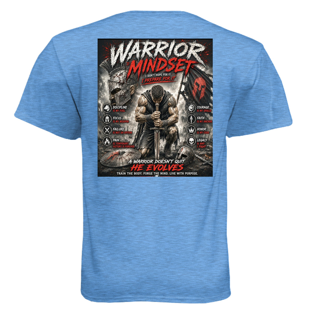 Heather Columbia Blue - N6210 - BACK