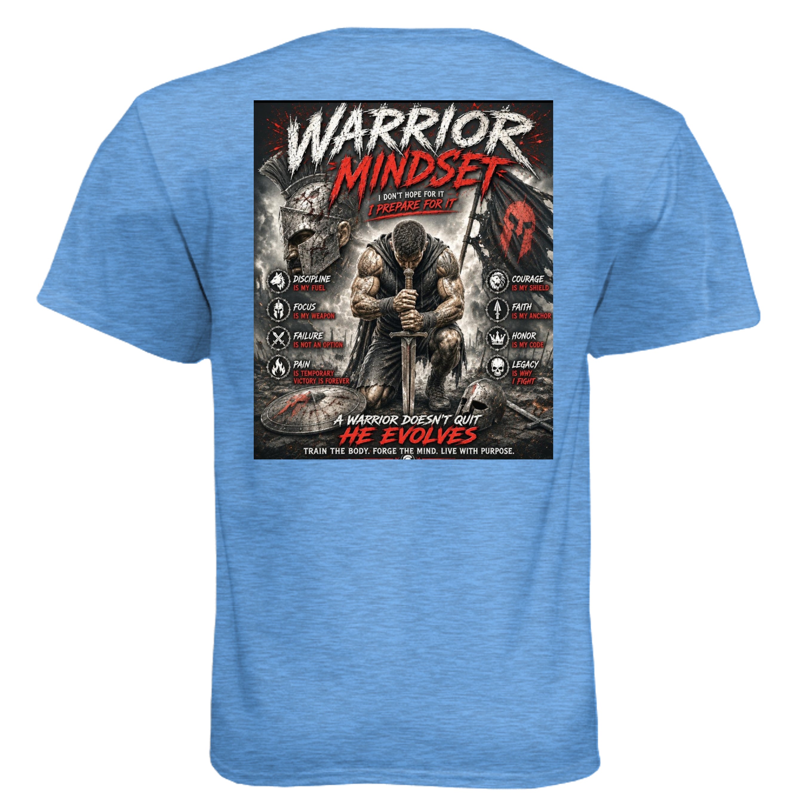 Heather Columbia Blue - N6210 - BACK