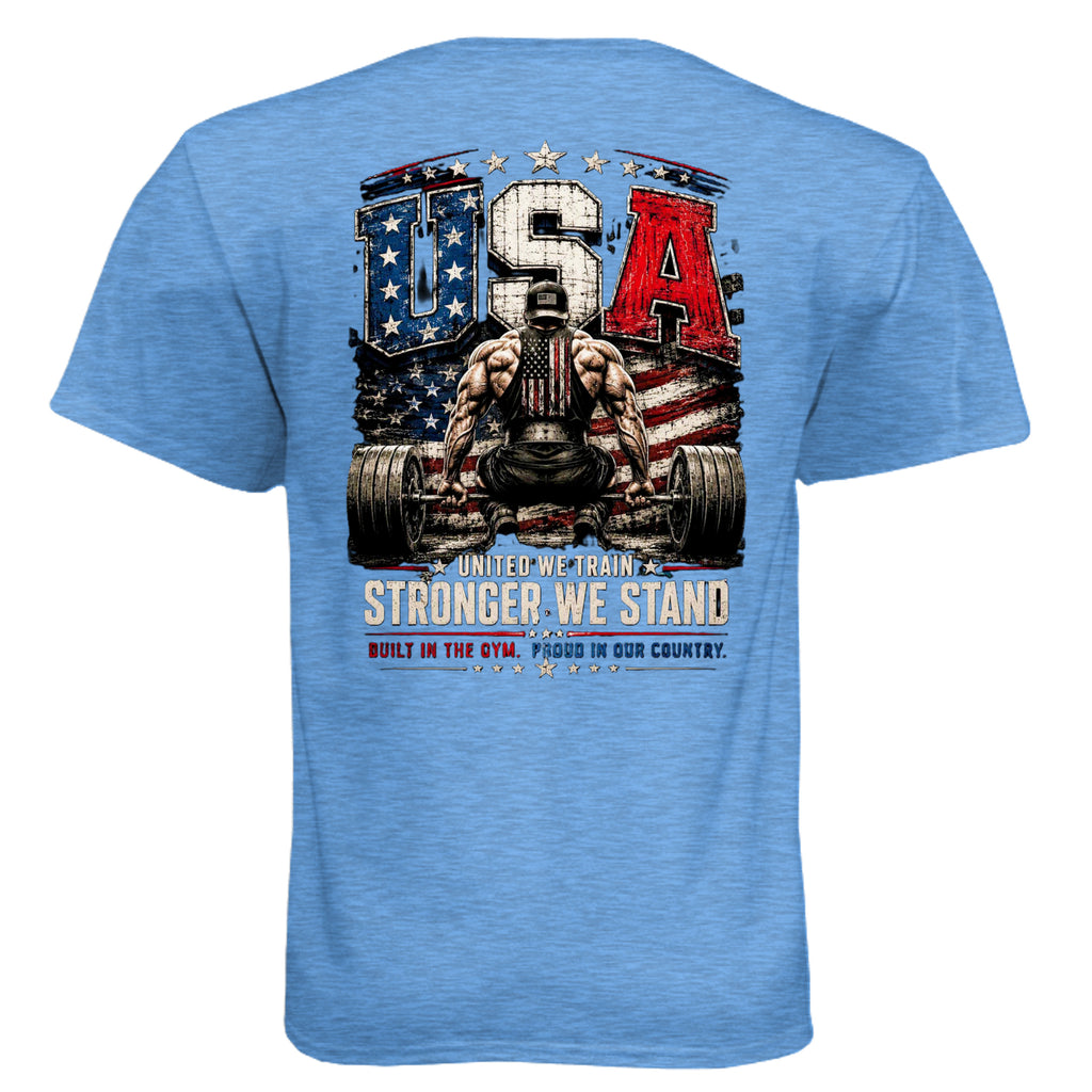 Heather Columbia Blue - N6210 - BACK