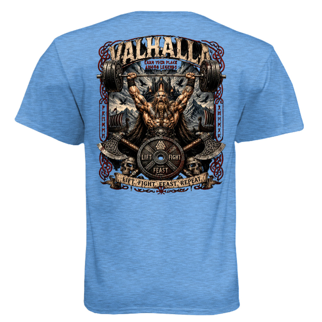 Heather Columbia Blue - N6210 - BACK