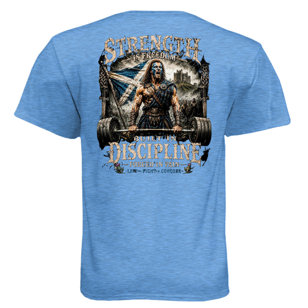 Heather Columbia Blue - N6210 - BACK