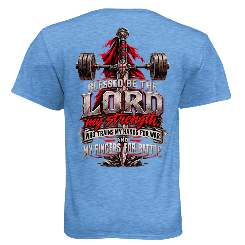 Heather Columbia Blue - N6210 - BACK