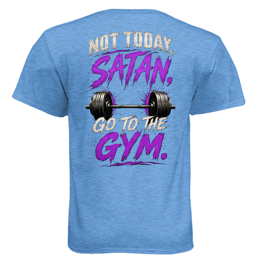 Heather Columbia Blue - N6210 - BACK